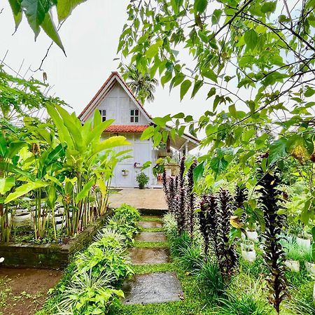 Pondok Is Oke Villa Scenic View バニュワンギ エクステリア 写真