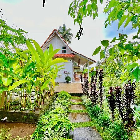 Pondok Is Oke Villa Scenic View バニュワンギ エクステリア 写真