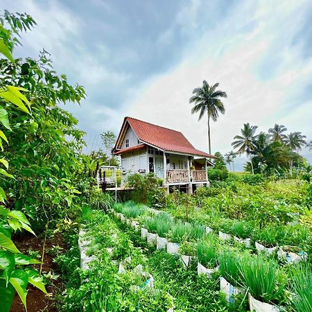 Pondok Is Oke Villa Scenic View バニュワンギ エクステリア 写真