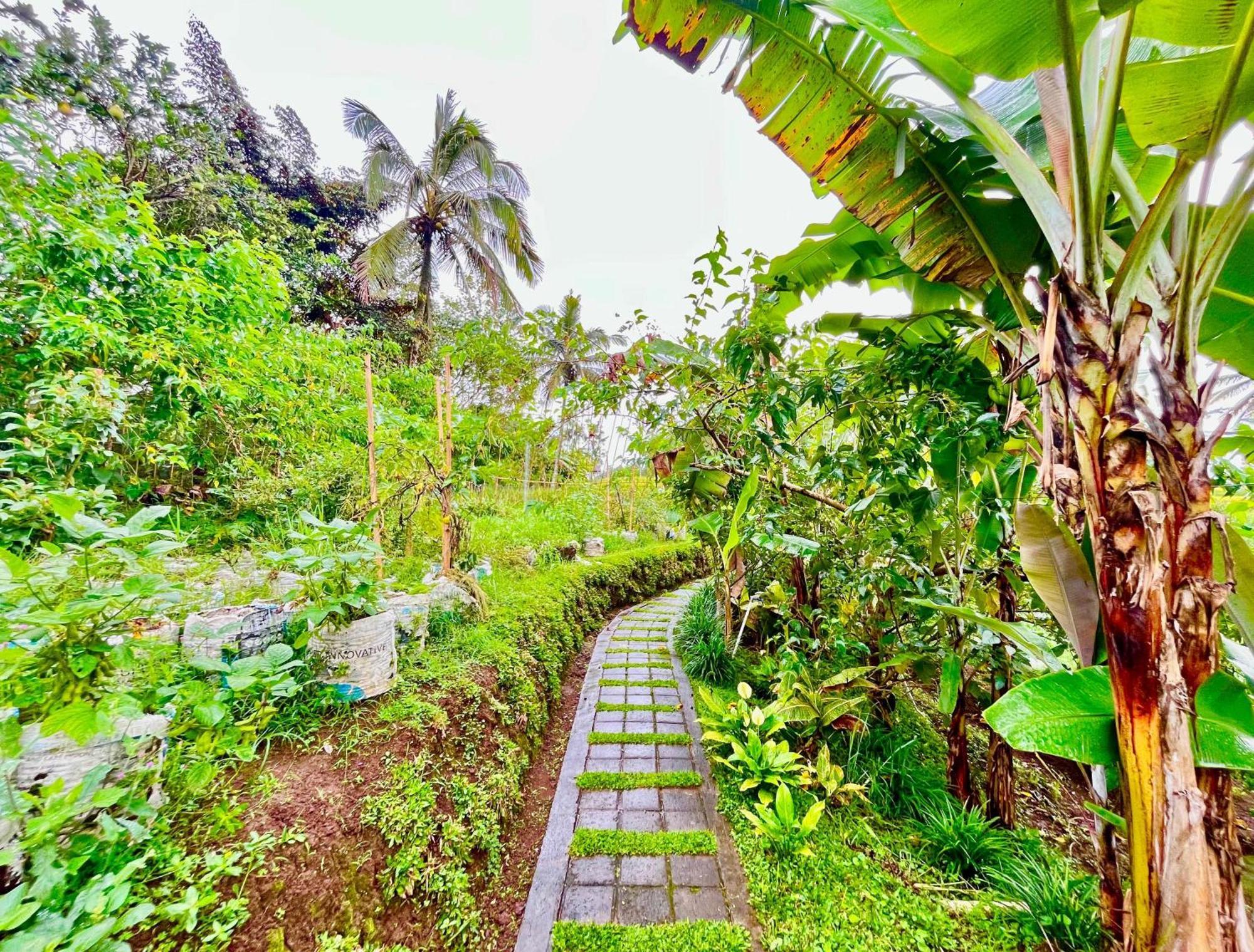 Pondok Is Oke Villa Scenic View バニュワンギ エクステリア 写真