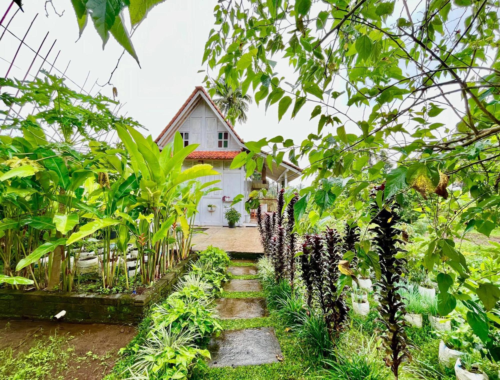 Pondok Is Oke Villa Scenic View バニュワンギ エクステリア 写真
