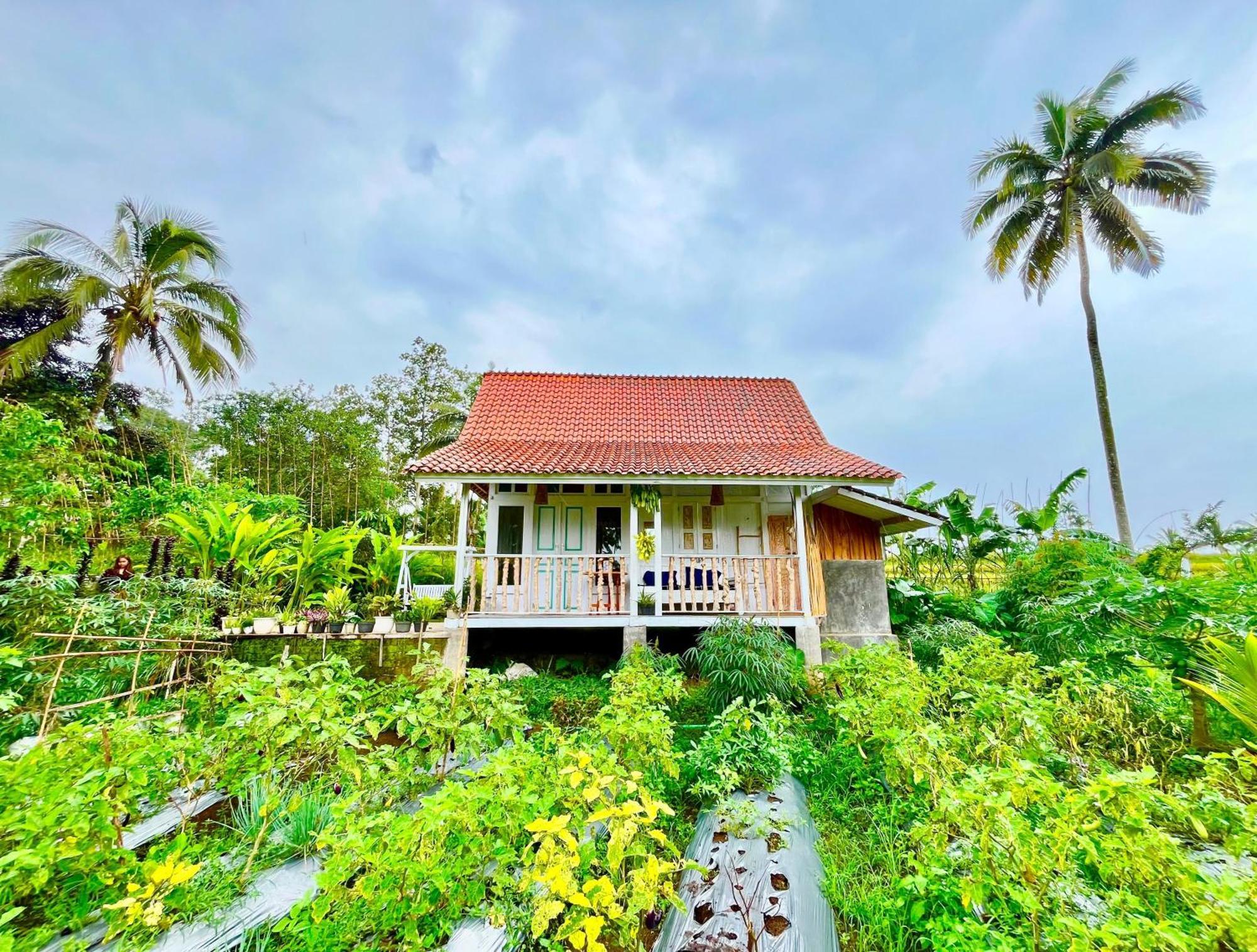 Pondok Is Oke Villa Scenic View バニュワンギ エクステリア 写真