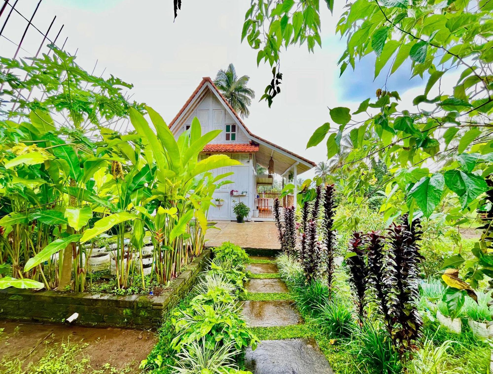 Pondok Is Oke Villa Scenic View バニュワンギ エクステリア 写真