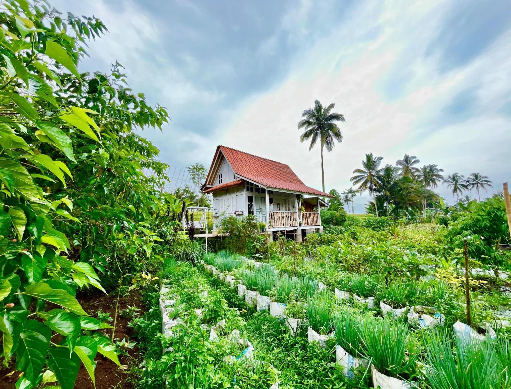 Pondok Is Oke Villa Scenic View バニュワンギ エクステリア 写真
