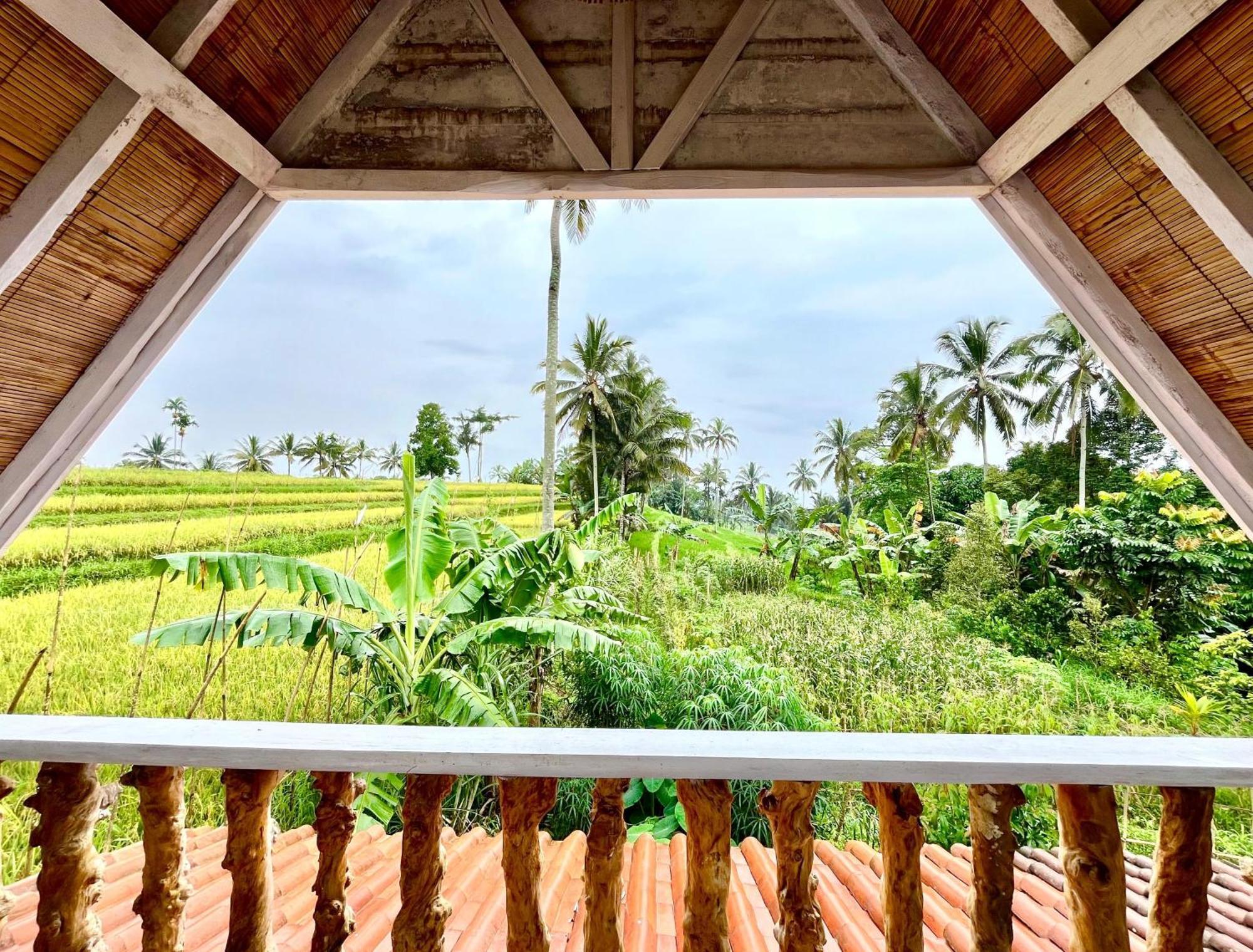 Pondok Is Oke Villa Scenic View バニュワンギ エクステリア 写真