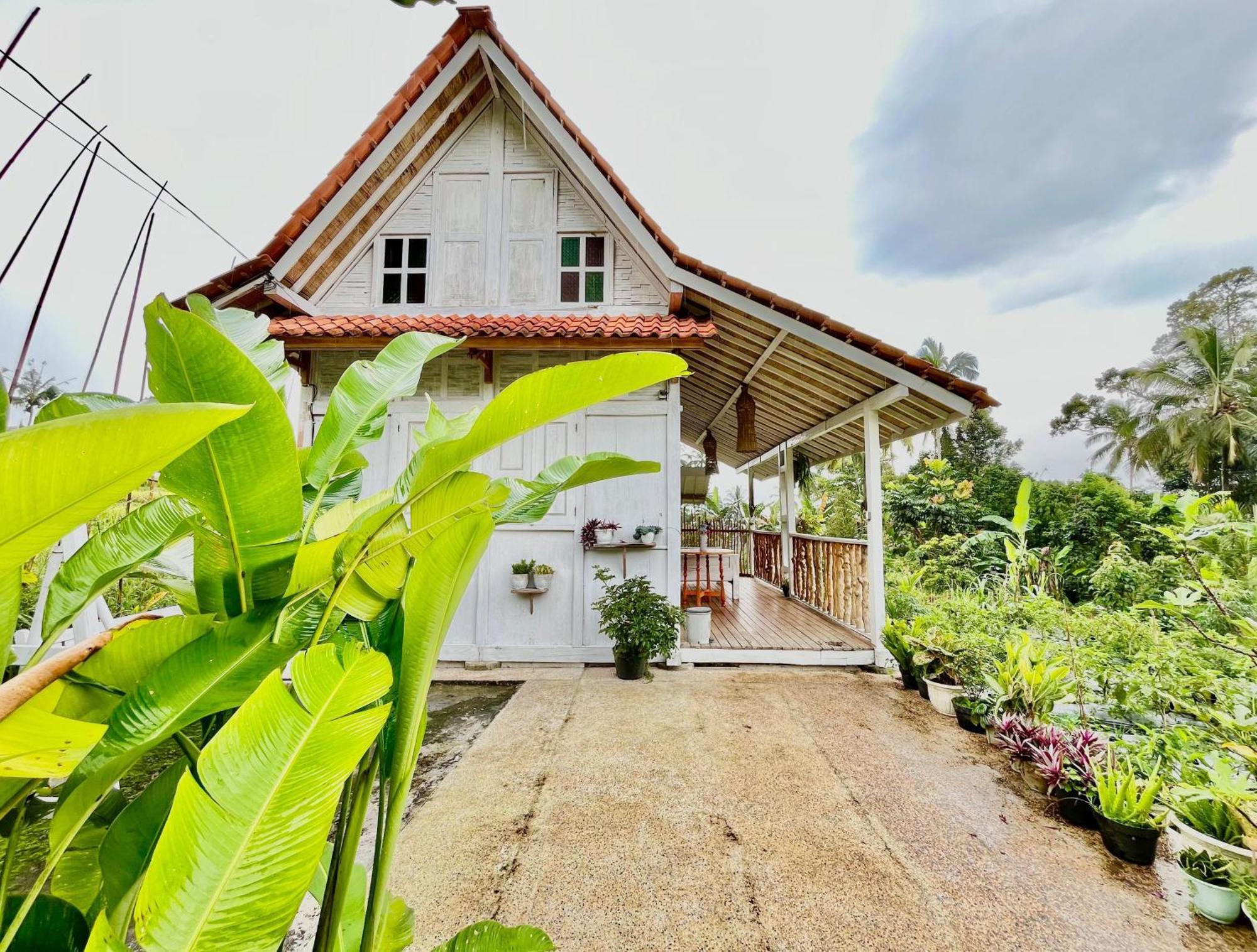 Pondok Is Oke Villa Scenic View バニュワンギ エクステリア 写真