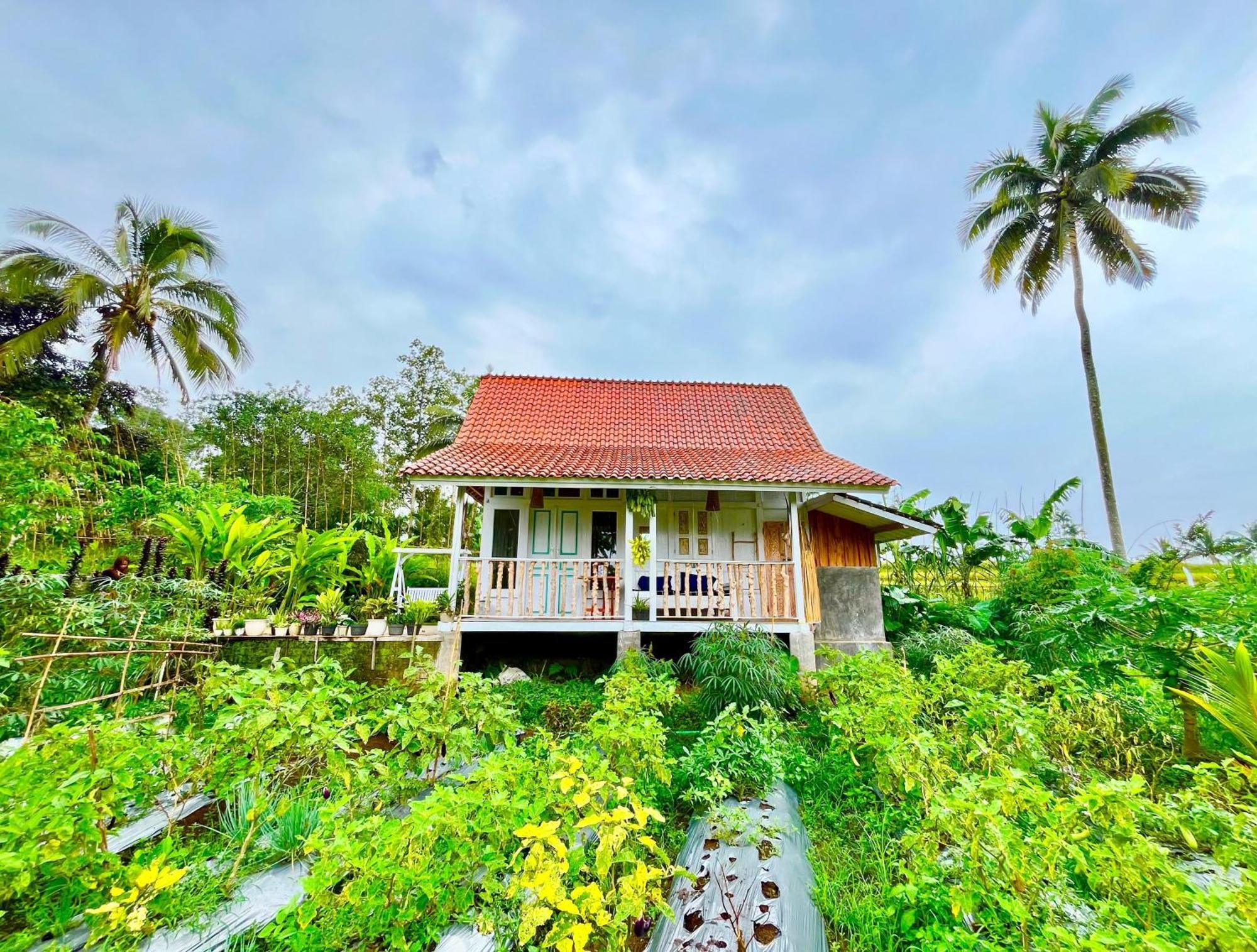 Pondok Is Oke Villa Scenic View バニュワンギ エクステリア 写真
