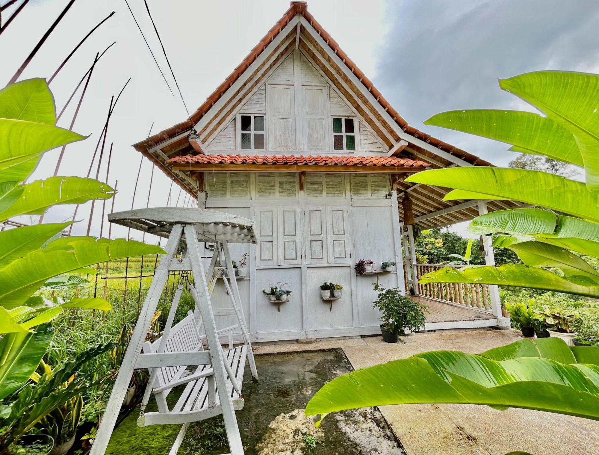 Pondok Is Oke Villa Scenic View バニュワンギ エクステリア 写真