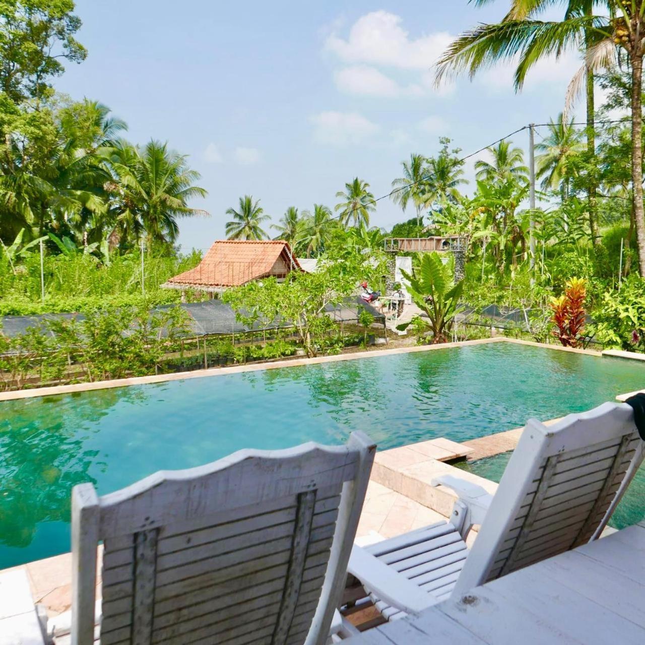 Pondok Is Oke Villa Scenic View バニュワンギ エクステリア 写真