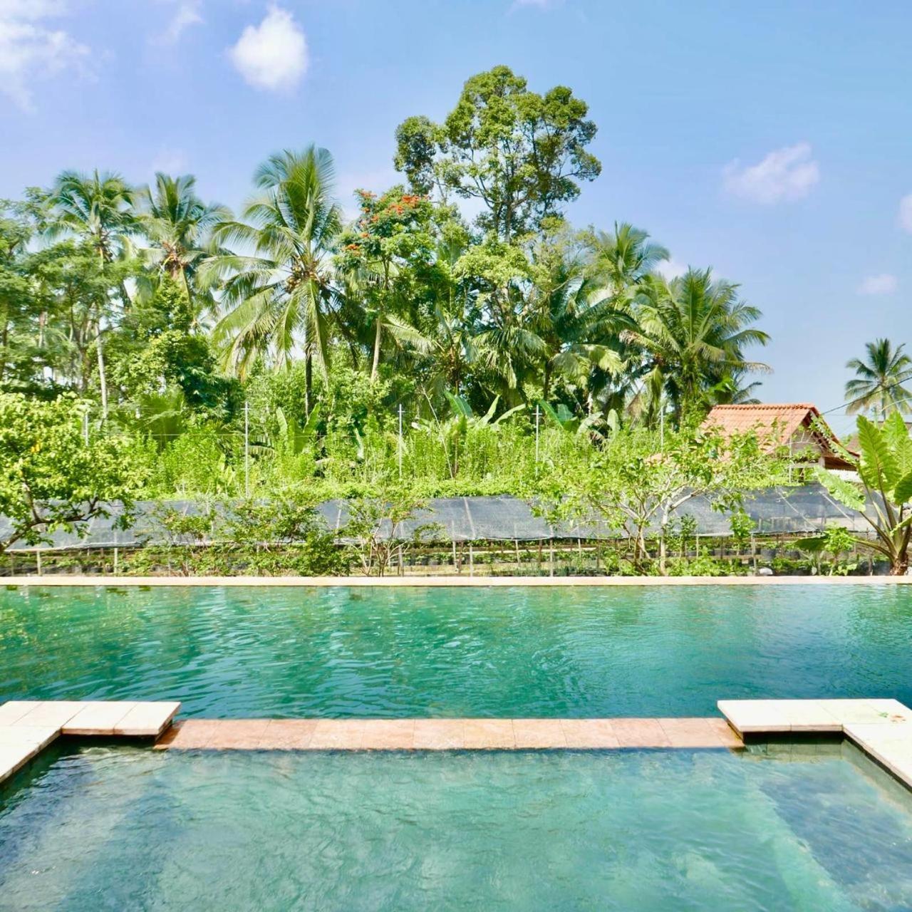 Pondok Is Oke Villa Scenic View バニュワンギ エクステリア 写真
