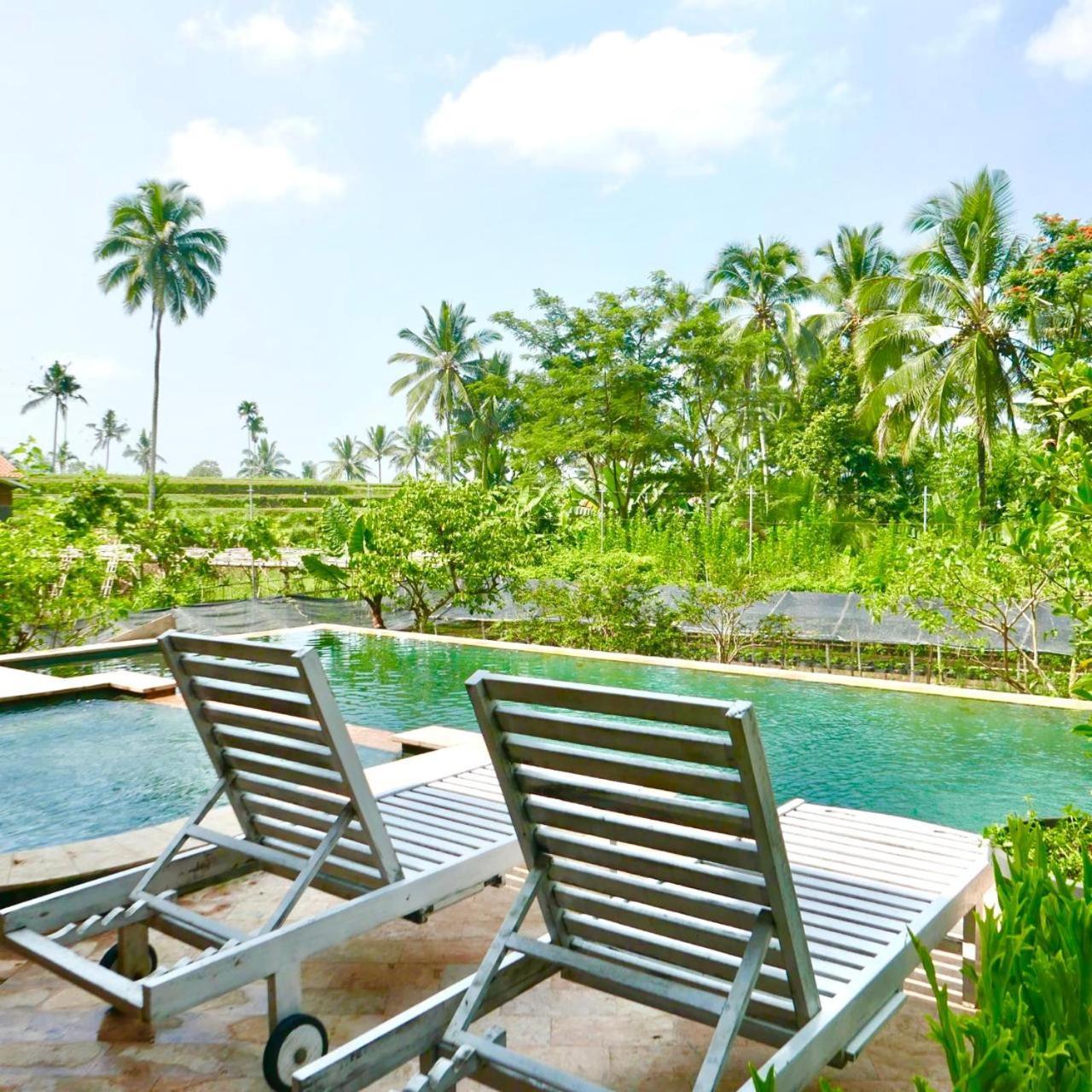Pondok Is Oke Villa Scenic View バニュワンギ エクステリア 写真