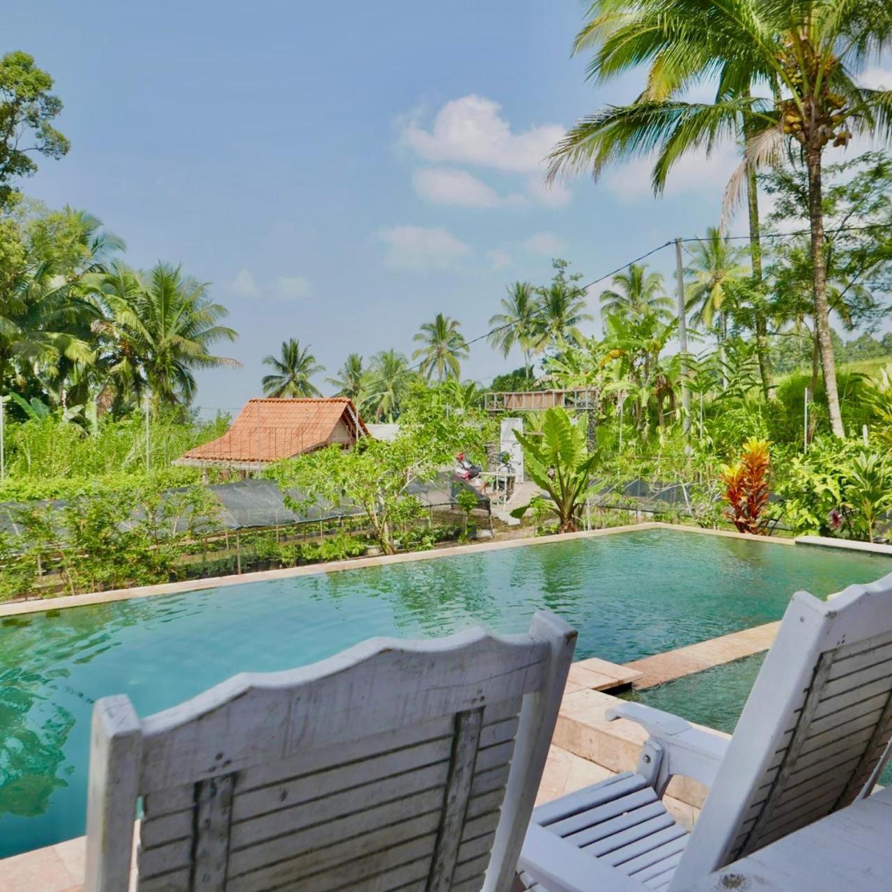Pondok Is Oke Villa Scenic View バニュワンギ エクステリア 写真