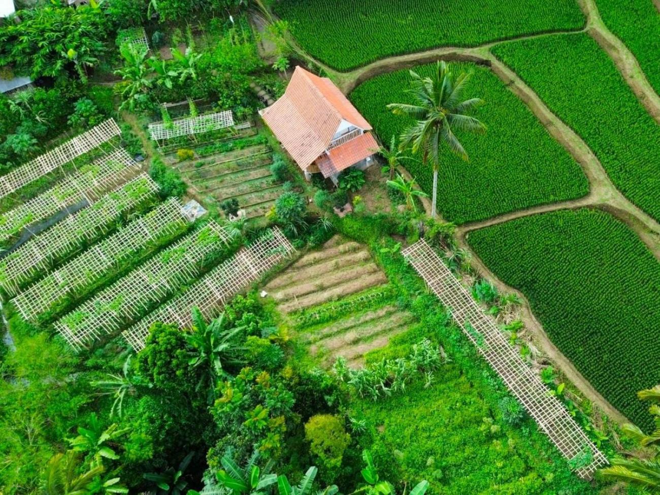 Pondok Is Oke Villa Scenic View バニュワンギ エクステリア 写真