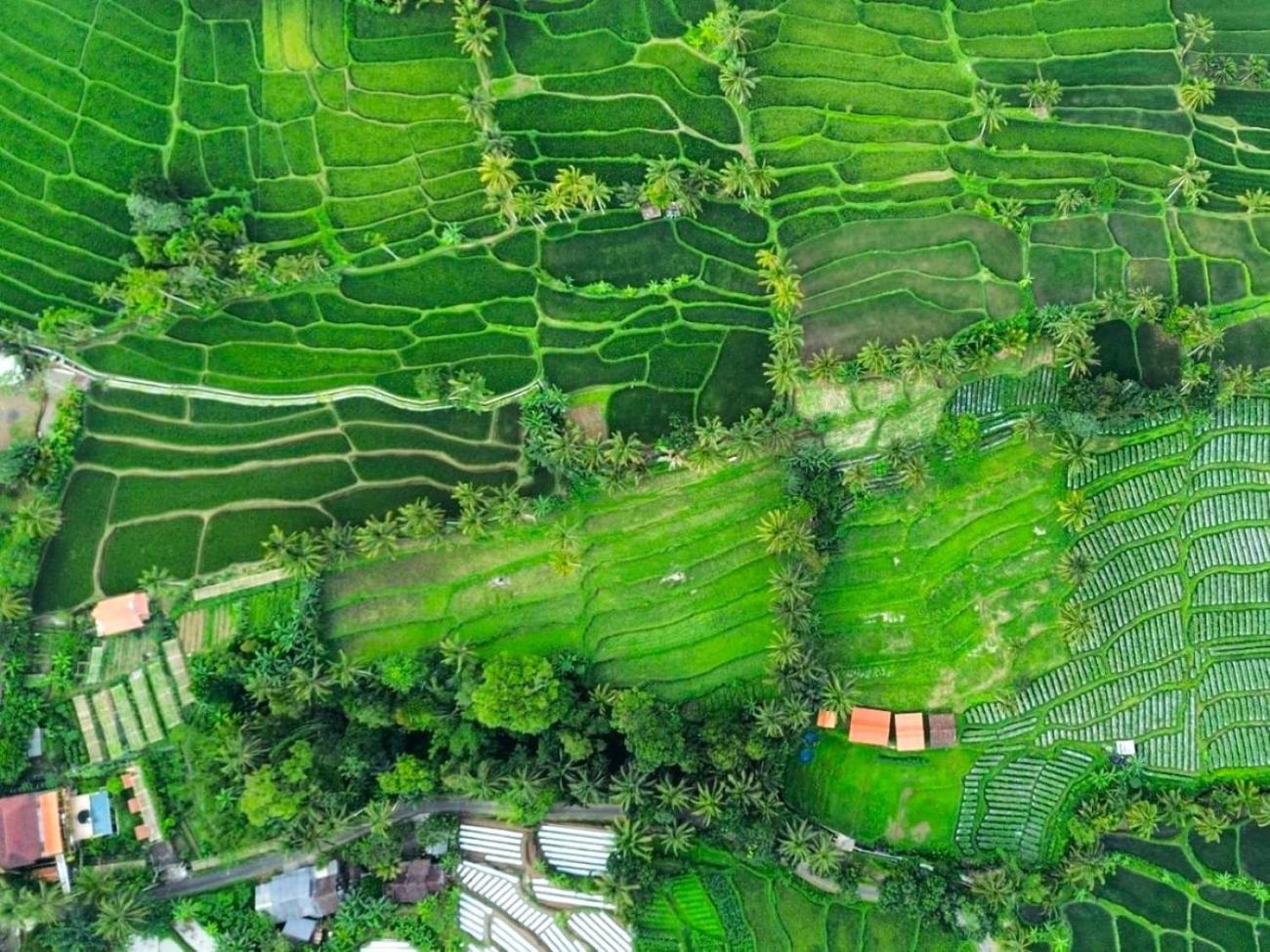 Pondok Is Oke Villa Scenic View バニュワンギ エクステリア 写真