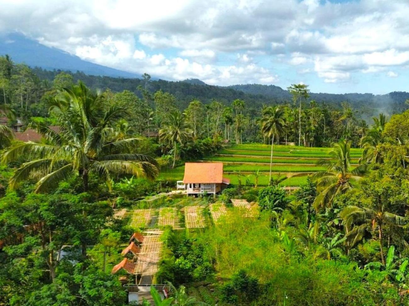 Pondok Is Oke Villa Scenic View バニュワンギ エクステリア 写真