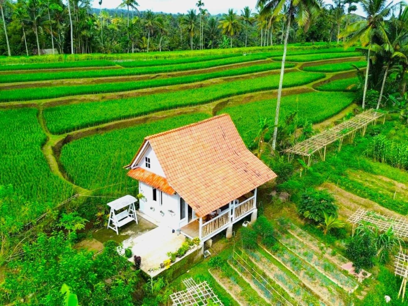 Pondok Is Oke Villa Scenic View バニュワンギ エクステリア 写真